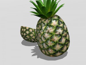 Pineapple 3D मॉडल