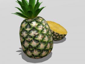 Pineapple 3D मॉडल