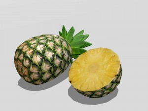 Pineapple 3D मॉडल