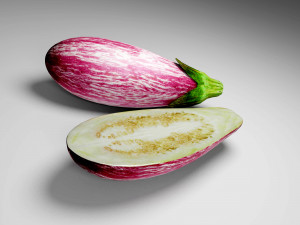 Eggplant 3D Model