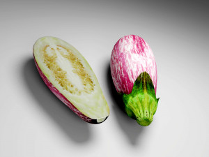 Eggplant 3D मॉडल