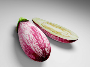 Eggplant 3D मॉडल