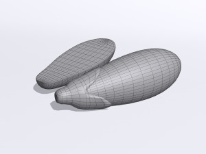 Eggplant 3D मॉडल