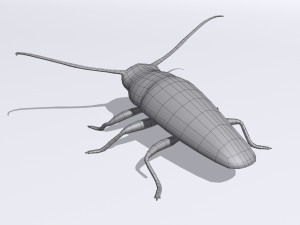 longhorn beetle acanthoderes lacrymans 3D मॉडल