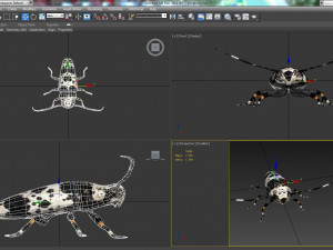 longhorn beetle acanthoderes lacrymans 3D मॉडल