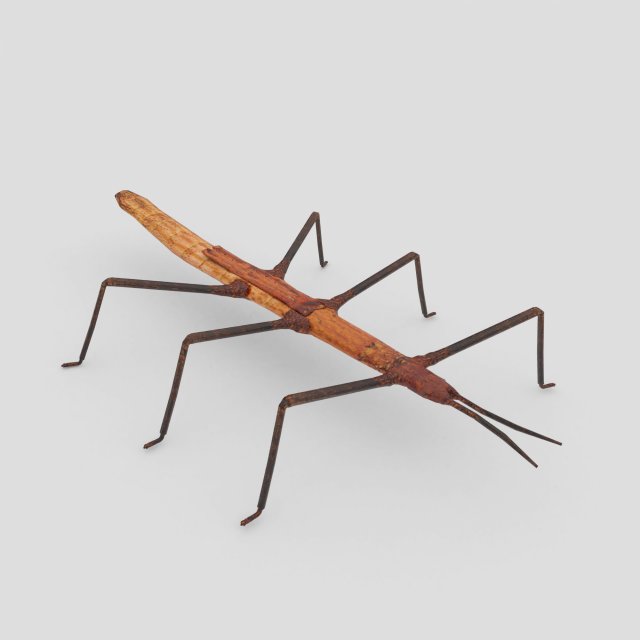 stick insect 3D Model .c4d .max .obj .3ds .fbx .stl .blend 