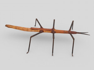 stick insect 3D Model