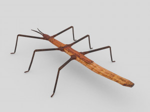 stick insect 3D Model