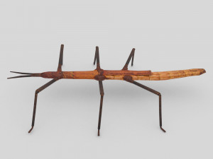 stick insect 3D Model