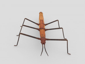 stick insect 3D Model