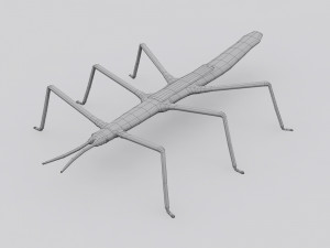 stick insect 3D Model