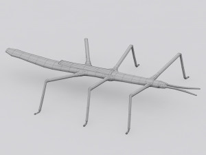 stick insect 3D Model