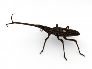 new zealand giraffe weevil 3D मॉडल