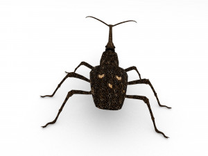 new zealand giraffe weevil 3D मॉडल
