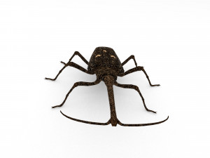 new zealand giraffe weevil 3D मॉडल