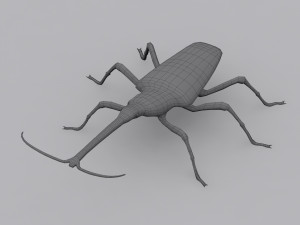 new zealand giraffe weevil 3D मॉडल