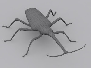 new zealand giraffe weevil 3D मॉडल
