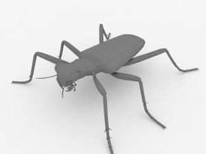 six-spotted tiger beetlecicindelaguttata Modelo 3D