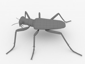 six-spotted tiger beetlecicindelaguttata Modelo 3D