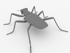six-spotted tiger beetlecicindelaguttata Modelo 3D
