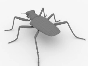 six-spotted tiger beetlecicindelaguttata 3D Model