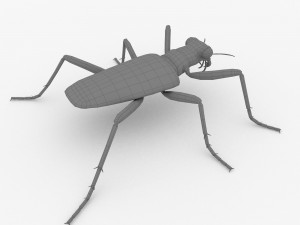 six-spotted tiger beetlecicindelaguttata Modelo 3D
