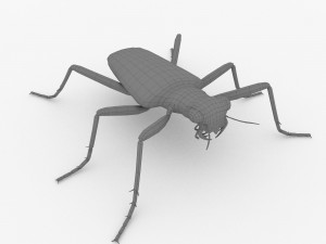 six-spotted tiger beetlecicindelaguttata Modelo 3D