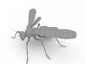 wasp Model 3D