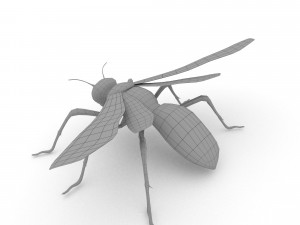 wasp Model 3D