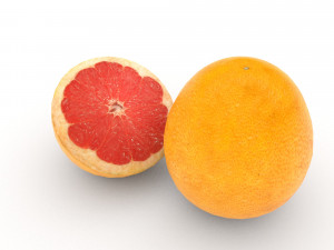 pomelo 3D 模型