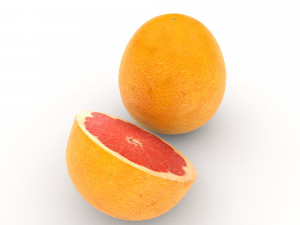 pomelo 3D 模型