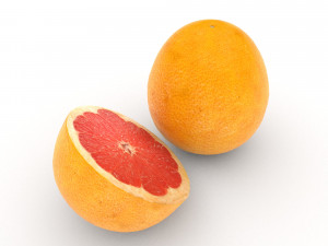 pomelo 3D 模型