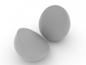 pomelo 3D 模型