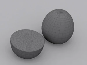 pomelo 3D Model