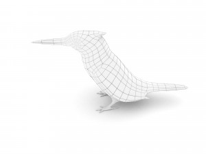 pied kingfisherceryle rudis 3D Model