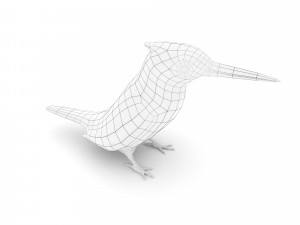 pied kingfisherceryle rudis 3D Model