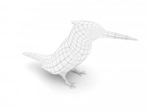 pied kingfisherceryle rudis 3D Model