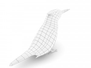 pied kingfisherceryle rudis 3D Model