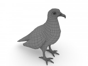 egyptian vulture 3D Model