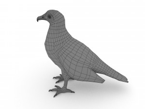 egyptian vulture 3D Model