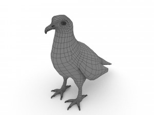 egyptian vulture 3D Model