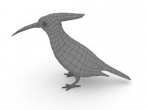eurasian hoopoe Model 3D