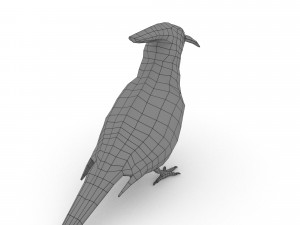 eurasian hoopoe Model 3D