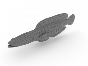 snakehead fish 3D Модель