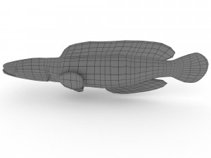 snakehead fish 3D Модель