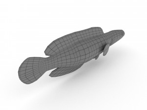 snakehead fish 3D Модель