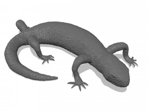 mexican beaded lizard 3D Print Model