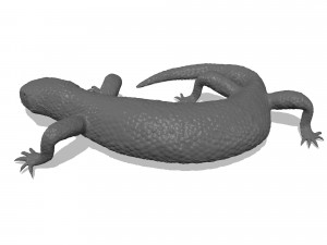 mexican beaded lizard 3D 프린트 모델