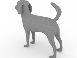Beagle 3D मॉडल