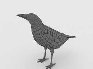 magpie 3Dモデル